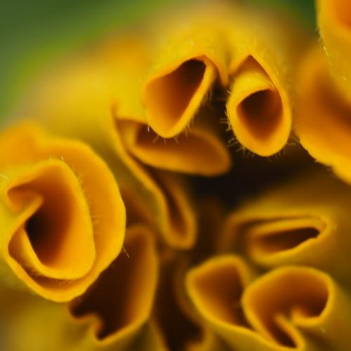 Photo #3568543