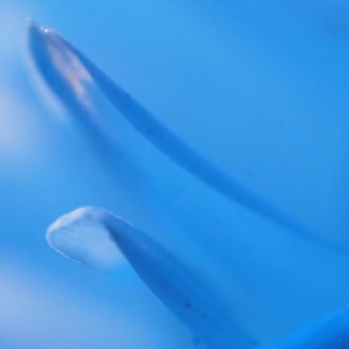 Photo #3568576