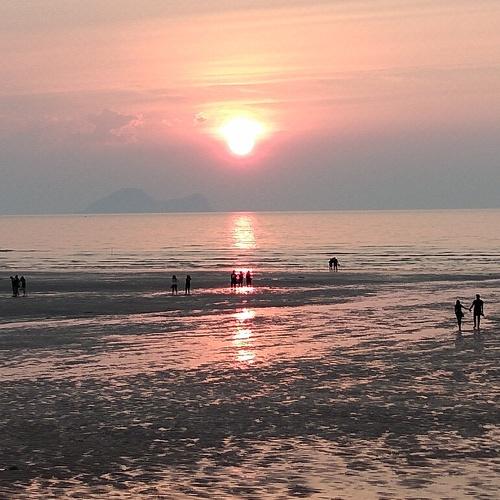 Photo #3568739