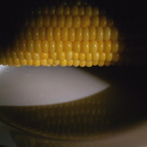 Photo #3568908