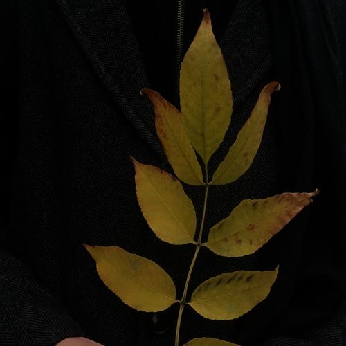 Photo #3568911