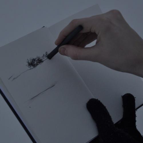 Photo #3568926