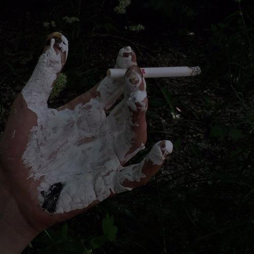 Photo #3568927