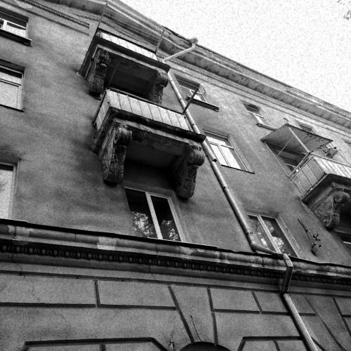 Photo #3568955