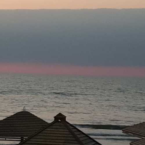Photo #3569042