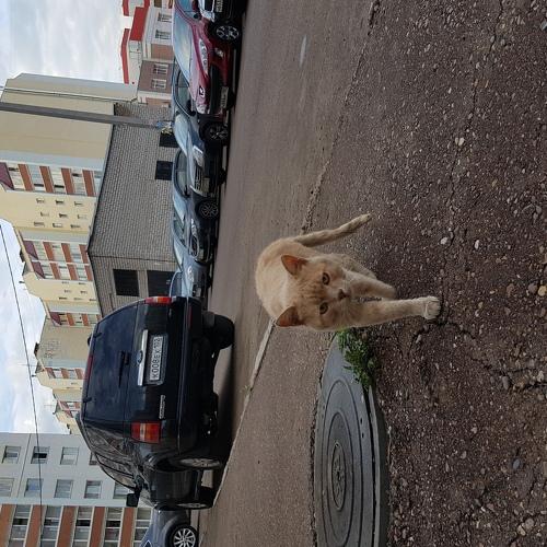 Photo #3569139