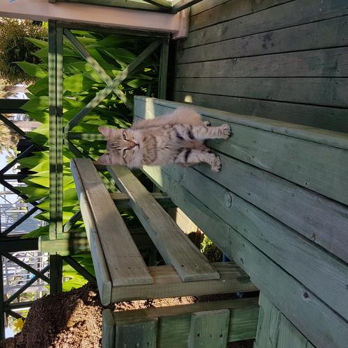 Photo #3569161