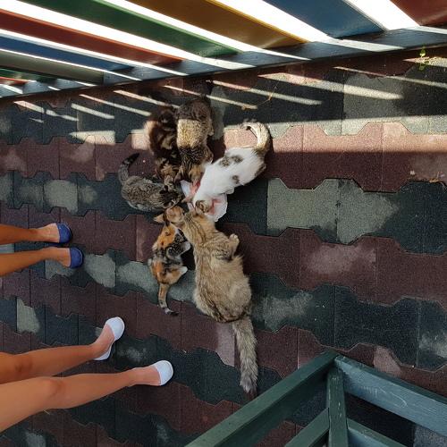 Photo #3569176