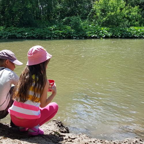 Photo #3569239
