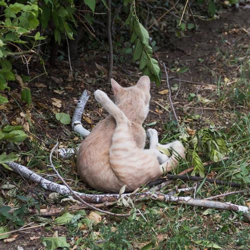 Photo #3569285