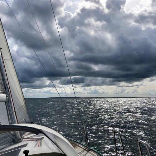 Photo #3569312