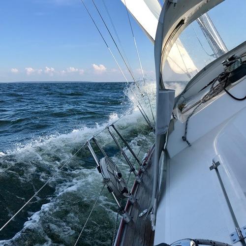 Photo #3569374