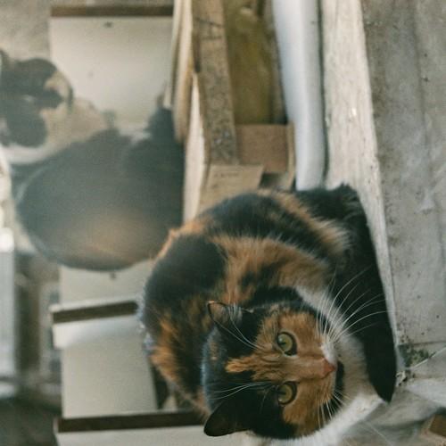 Photo #3569496