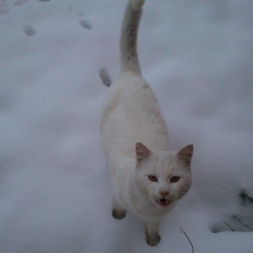 Photo #3569555
