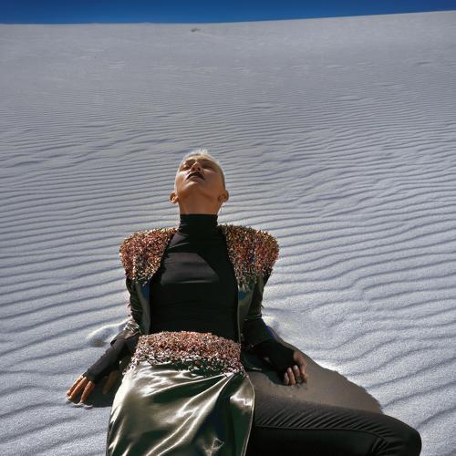 Photo #3569627