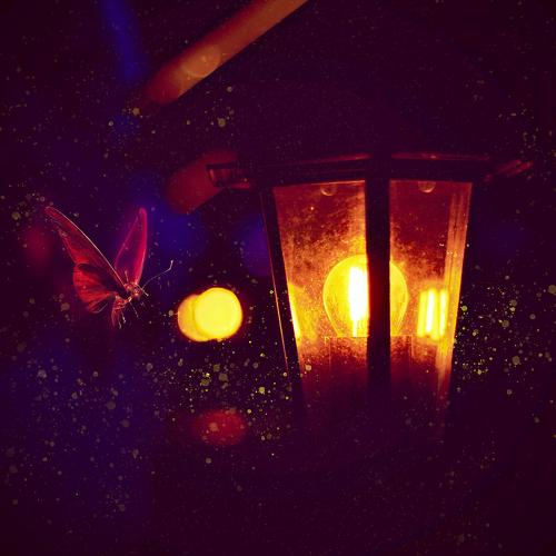 Photo #3569669