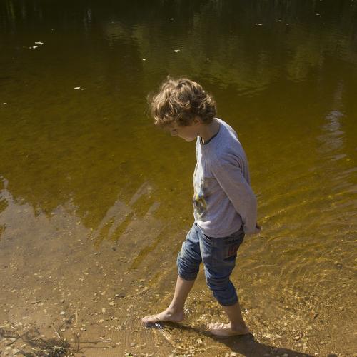 Photo #3569833