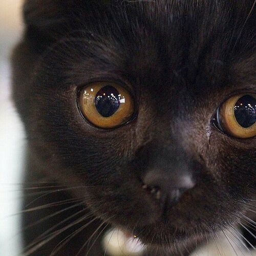 Photo #3569857