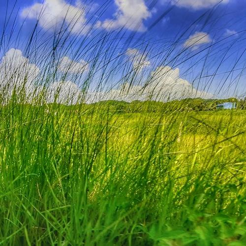 Photo #3570113