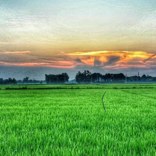 Photo #3570131