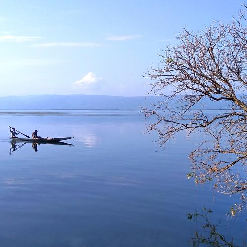 Photo #3571084