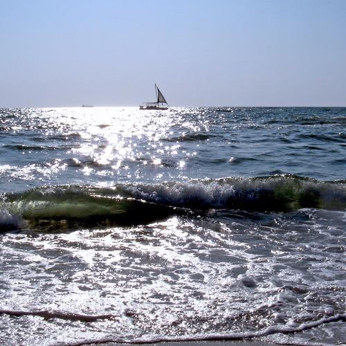 Photo #3571129