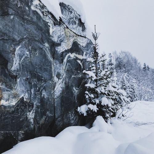 Photo #3571239