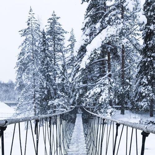 Photo #3571240