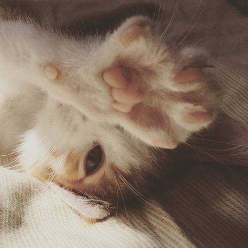 Photo #3571371