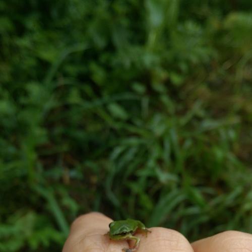 Photo #3571757