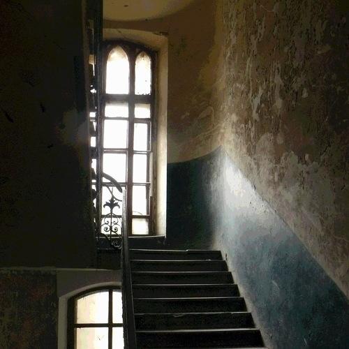 Photo #3571804