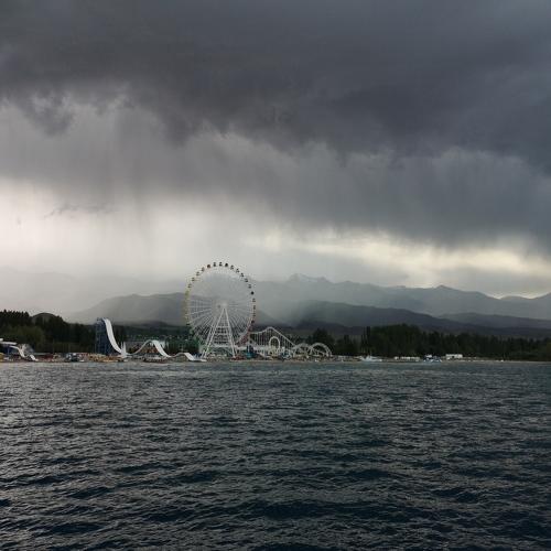 Photo #3572005