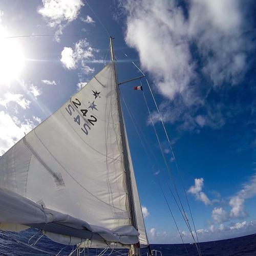 Photo #3572102