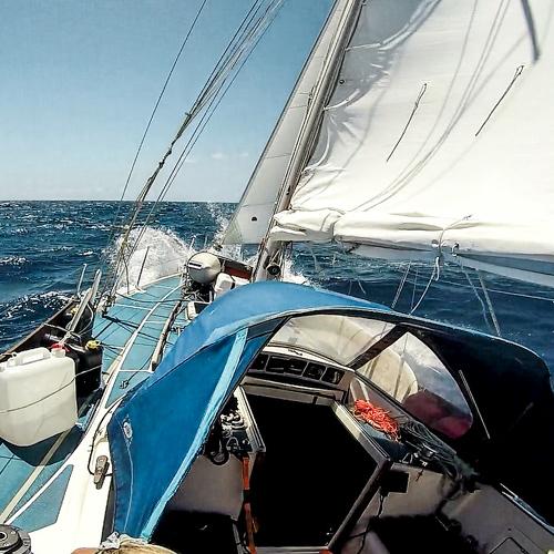 Photo #3572106