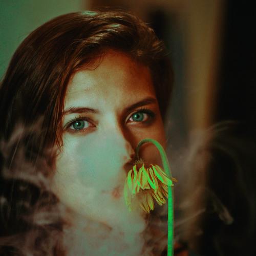 Photo #3572168
