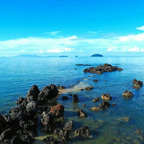 Photo #3572190