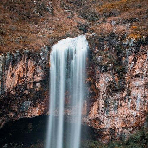 Photo #3572331