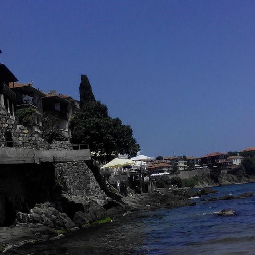 Photo #3572832