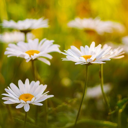 Photo #3572985