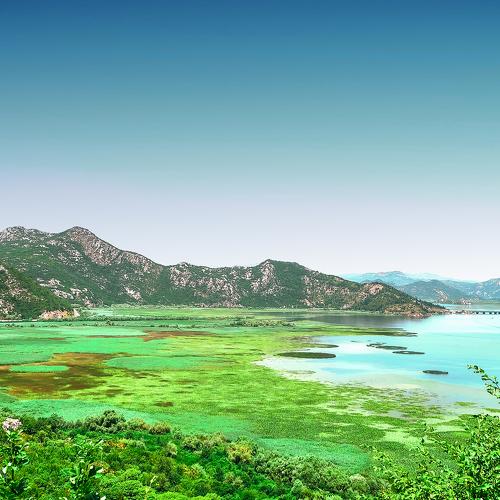Skadar lake
