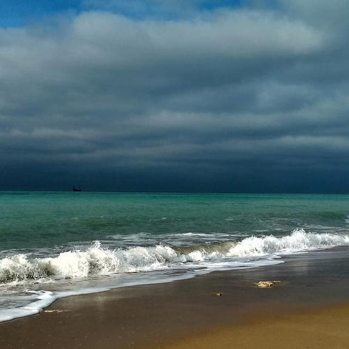 Photo #3573018