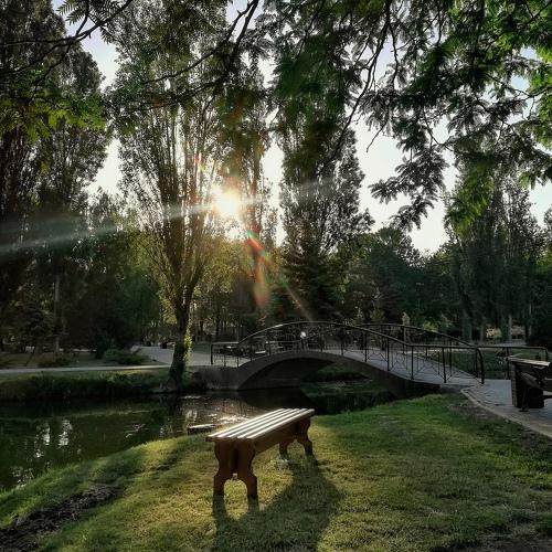 Photo #3573027