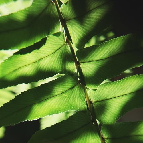 Photo #3573029