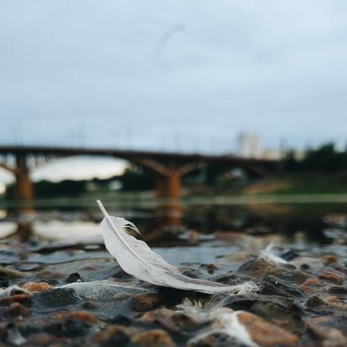 Photo #3573247