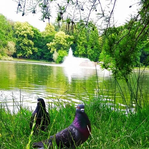 Photo #3573391