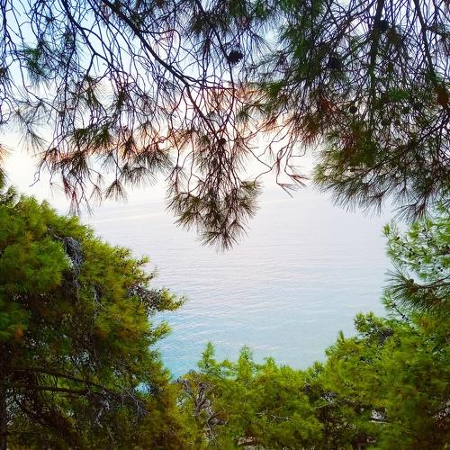 Photo #3573397