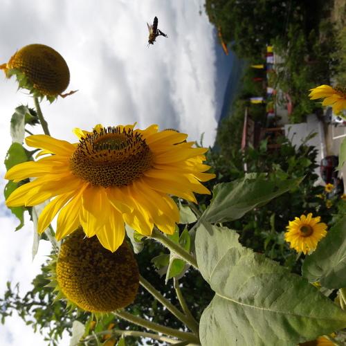 Photo #3573403