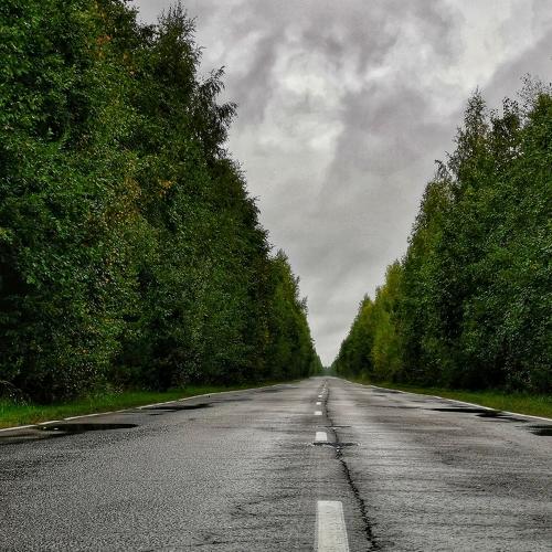Куда ведет меня дорога