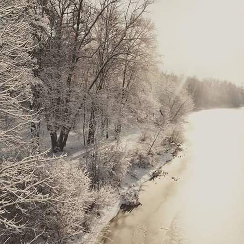 Photo #3573472
