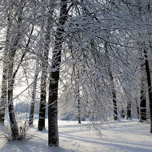 Photo #3573475